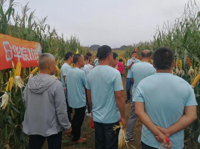 1568798523409551.jpg 33.jpg