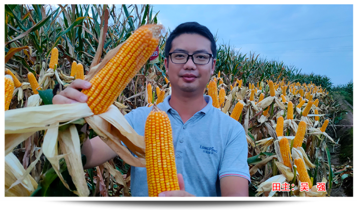 1747637384658720.png 圖片12.png