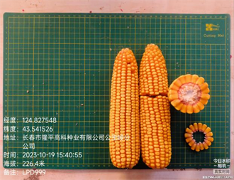 1747639805831313.png 圖片55.png